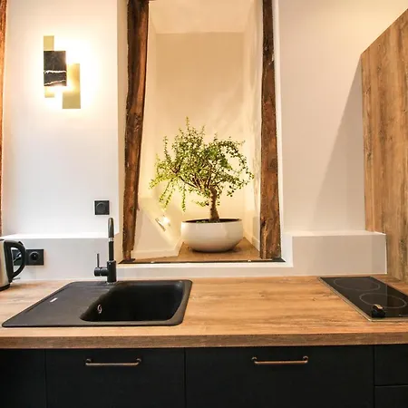 L'atelier 1742 - Atypique Jacuzzi Centre * Rouen