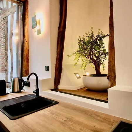 L'atelier 1742 - Atypique Jacuzzi Centre Appartement Rouen